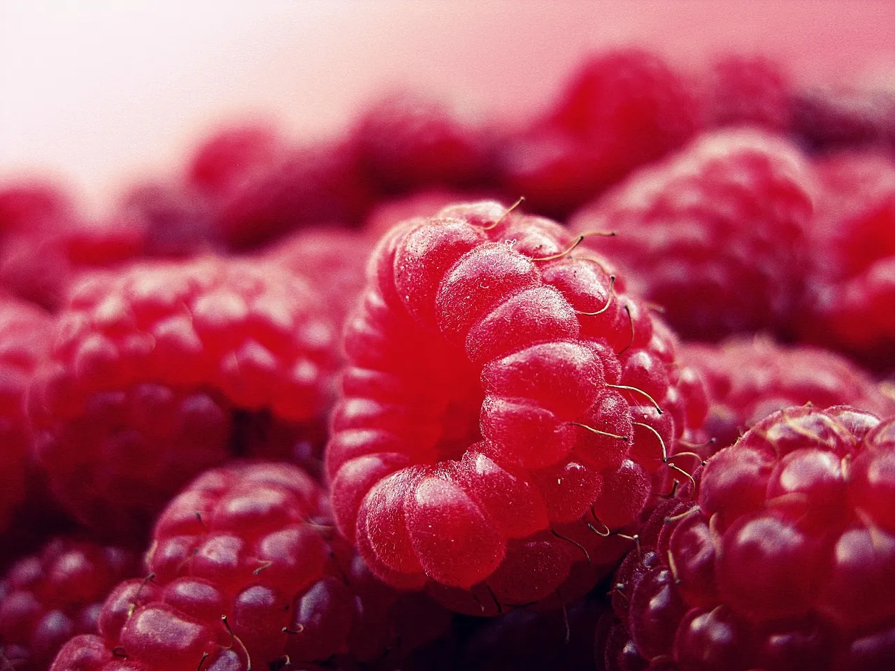 raspberry, fruits, fresh
